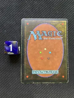 Tundra - Revised Edition - Dual Land - Vintage MTG - MP - 1994 - Image 2