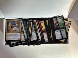 Magic The Gathering, Bloomburrow (Common/Uncommon) | Bulk Lot - 500 NM - Image 3