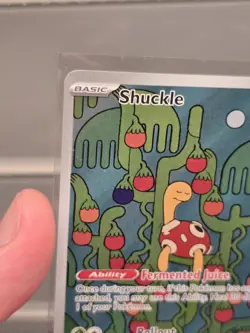 Shuckle Illustration Rare 136/132 Me01: Mega Evolution Holo POKEMON NM - Image 2