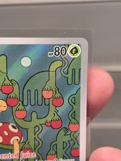 Shuckle Illustration Rare 136/132 Me01: Mega Evolution Holo POKEMON NM - Image 4