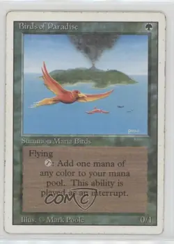 Birds of Paradise Magic: Revised Edition 1994 - Image 1