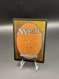 MTG - Legends Lot - Magic: The Gathering - Over 300 With Nether Void And More - Image 2