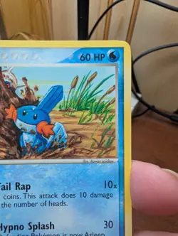 Pokemon KIDS WB Promo Mudkip 4/5 played! check pictures - Image 3