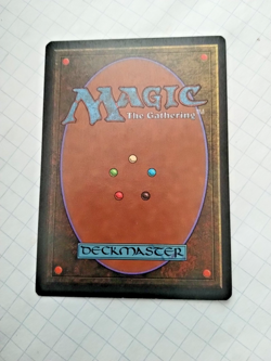 Mtg Nether Shadow (Niederschatten) German FBB Regular - Uncirculated - Image 3