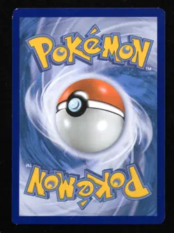 Charmander Black Star Promo SWSH232 Pokemon TCG - Image 2
