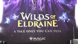 (New FOIL) Wilds of Eldraine Promo Poster: Magic the Gathering (MTG) 18x24 - Image 2