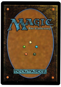 Beloved Princess 0804 Non Foil English Borderless Secret Lair MTG Near Mint - Image 2