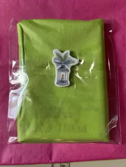 POKEMON TCG MYSTERY PACK BLIND STICKER AUCTION - Green With Lantern - Image 2