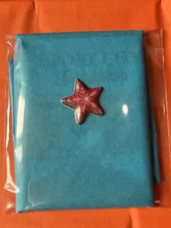 POKEMON TCG MYSTERY PACK BLIND STICKER AUCTION - Blue With Star - Image 2