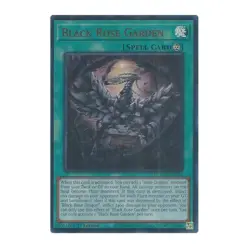 Yu-Gi-Oh! Black Rose Garden - Doom of Dimensions (DOOD) - Image 1