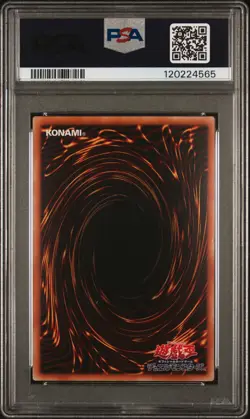 2008 YU-GI-OH! JPN CSOC-CROSSROADS OF CHAOS GHOST RARE BLACK ROSE DRAGON PSA 10 - Image 2