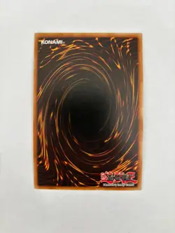 The Dragon that Devours the Dogma CH01-EN041 Secret Rare 1st Ed NM Yugioh - Image 4