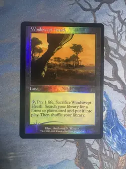 Windswept Heath Onslaught Foil LP - Image 1