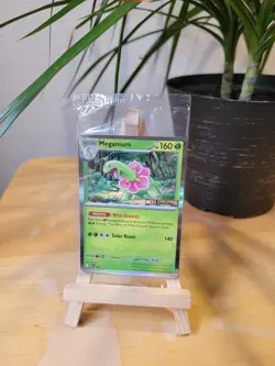 Pokemon TCG - Mega Evolutions Staff Stamp Promos Sealed - Image 1