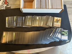 MTG Lorwyn COMPLETE SET Common, Uncommmon, Rares - No basic Lands LP - Image 1