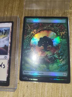 1x Dragon Eye Forest Foil Tarkir Dragonstorm 0291 MTG - Image 1