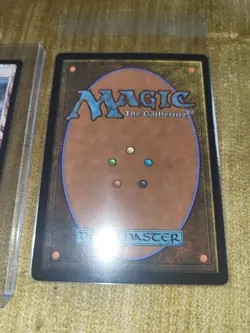 1x Dragon Eye Forest Foil Tarkir Dragonstorm 0291 MTG - Image 2