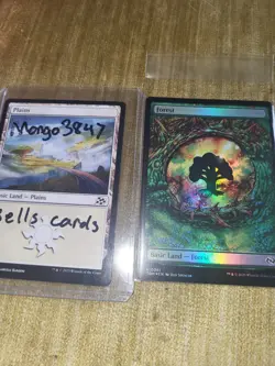 1x Dragon Eye Forest Foil Tarkir Dragonstorm 0291 MTG - Image 3