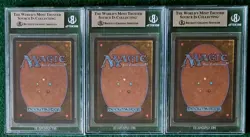 Dandan - Arabian Nights - Lot Of 3. All TRUE Quads - MTG - BGS Graded 9. Mint. - Image 2