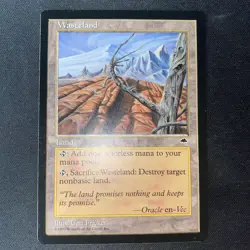 MTG Tempest Wasteland (LP) - Image 1