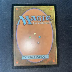 MTG Tempest Wasteland (LP) - Image 2