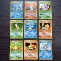 Typhlosion Feraligatr Meganium Premium File set Holo Japanese Pokemon Chikorita - Image 1