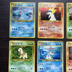 Typhlosion Feraligatr Meganium Premium File set Holo Japanese Pokemon Chikorita - Image 2