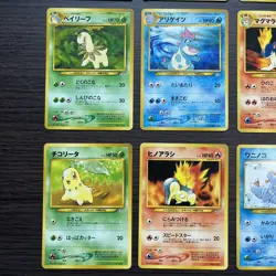 Typhlosion Feraligatr Meganium Premium File set Holo Japanese Pokemon Chikorita - Image 4