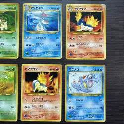 Typhlosion Feraligatr Meganium Premium File set Holo Japanese Pokemon Chikorita - Image 5