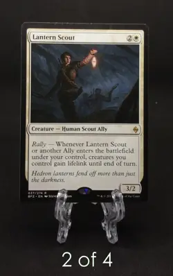 Magic the Gathering - Lantern Scout x4 - Battle for Zendikar - NM - Image 3