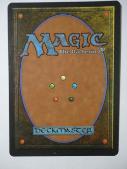 Spirit Link Italian Legends NM MTG Magic Gathering Legame Spirituale - Image 2