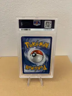 Pokemon Squirtle Stellar Crown 148/142 PSA 10 English Illustration Rare 2024 - Image 2