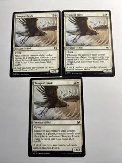 3X Tempest Hawk - Tarkir: Dragonstorm X3 MTG - Image 1