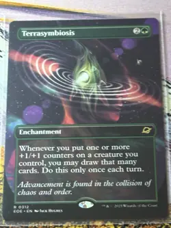 MTG Terrasymbiosis (Borderless) - 312 / English / Near Mint - Image 1