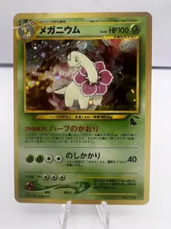 Pokemon Card Meganium Feraligatr Totodile & Chikorita Intro Deck Japanese - Image 2