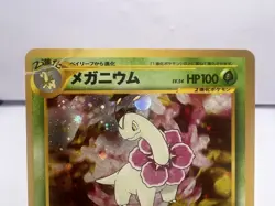 Pokemon Card Meganium Feraligatr Totodile & Chikorita Intro Deck Japanese - Image 3