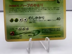 Pokemon Card Meganium Feraligatr Totodile & Chikorita Intro Deck Japanese - Image 4