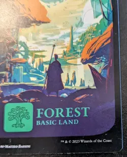 Forest (Full Art) 0291 LCI Land The Lost Caverns Of Ixalan Magic: The Gathering - Image 5