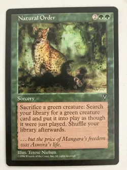 Natural Order Visions Regular - Image 1
