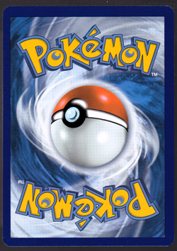 Kyogre Celebrations 003/025 Holo Pokemon Card TCG 2021 NM - Image 2
