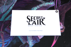 Magic the Gathering Cats are better than Dogs Secret Lair Drop MTG - Image 1