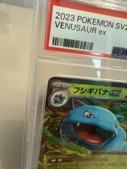 Pokemon Japanese Venusaur ex 003/165 Scarlet & Violet 151 Holo SV2a - PSA 10 - Image 3
