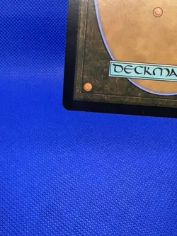 Magic the Gathering Lord of The Rings Arwen, Mortal Queen Borderless Poster NM - Image 5