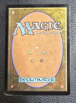 Sword of Fire and Ice (Borderless) Special Guests Foil NM Magic Card - Image 2