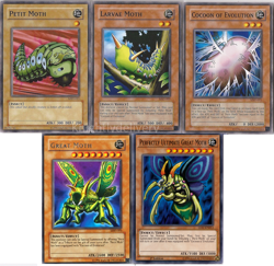 Weevil Battle City Deck - Perfectly Great Moth - Petit - 40 Cards NM - Yugioh - Image 1