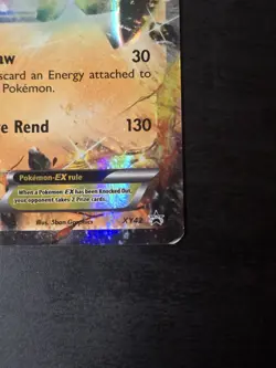 Groudon EX XY42 - Hoenn Collectors Tin - Black Star Promo - Pokemon - Image 5