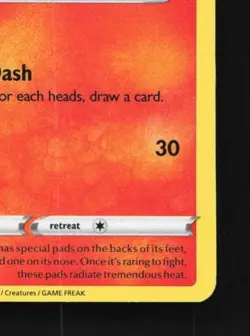 Scorbunny SWSH244 NM SWSH Black Star Promos English Pokemon Card TCG - Image 3