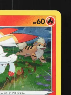 Scorbunny SWSH244 NM SWSH Black Star Promos English Pokemon Card TCG - Image 5