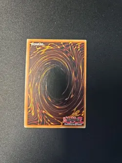 Yugioh! Dark Paladin - MFC-105 - Ultra Rare - Magician's Force Corrected Art - Image 3