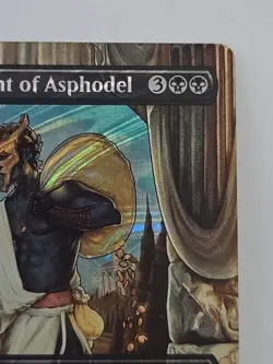 Gray Merchant of Asphodel Halo Foil Encyclopedia Of Magic MTG 0034 - Image 3